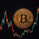Telegram profile photo for BitcoinTradeAi