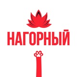 Telegram profile photo for Касается Нагорного