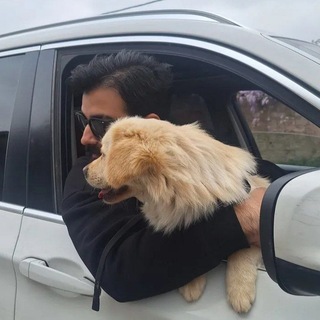 Telegram profile photo for آرشاک