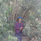 Telegram profile photo for الشاعر ابو ريان حُميد