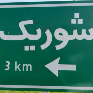Telegram profile photo for شوریک نیوز