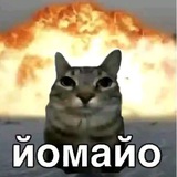 Telegram profile photo for Мел