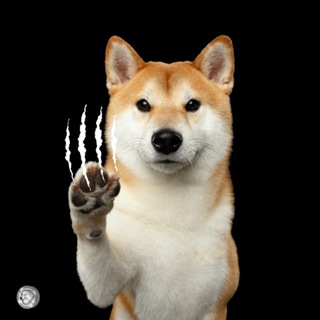 Telegram profile photo for Krypto Demon