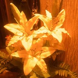 Telegram profile photo for هُنا أَزْهَرُ.