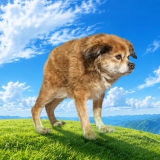 Telegram profile photo for OG Tilly Portal