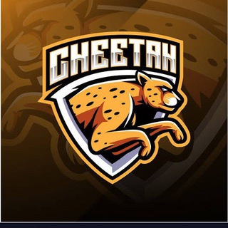 Telegram profile photo for Cheetah Calls🔱