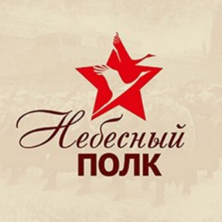 Telegram profile photo for Небесный полк
