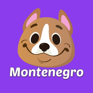 Telegram profile photo for Черногория аренда квартир | Domiko