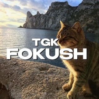 Telegram profile photo for tgk | fokush
