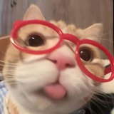 Telegram profile photo for setiZ