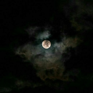 Telegram profile photo for إختِلآف