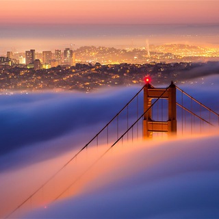 Telegram profile photo for Brasileiros em San Francisco