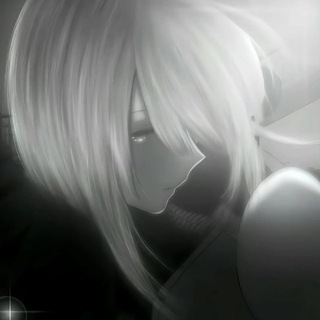 Telegram profile photo for 杨意查档