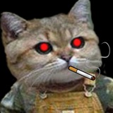 Telegram profile photo for Solana KOLs Tracker 👀