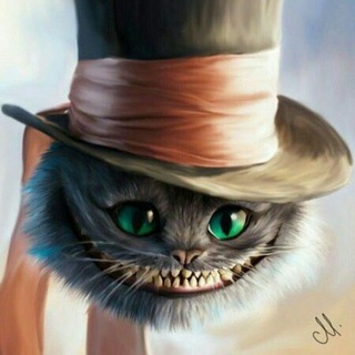Telegram profile photo for Krypto Kot Airdrop