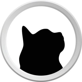 Telegram profile photo for Meow 🐈⬛