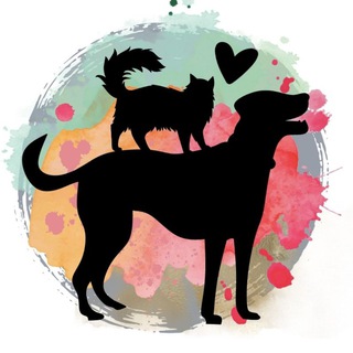 Telegram profile photo for Taileddream 🐱🐶