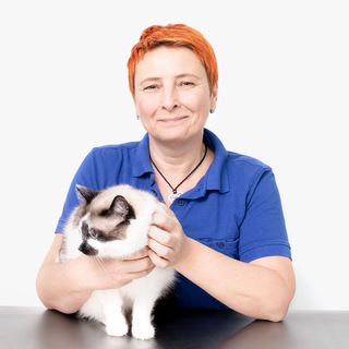 Telegram profile photo for Ветеринарный дерматолог