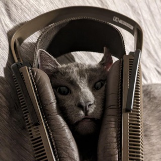 Telegram profile photo for Интересновое