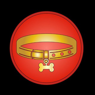 Telegram profile photo for CollarSwap 🐾 - Official