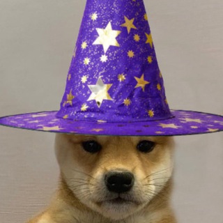Telegram profile photo for ✨DOGWIZHAT✨