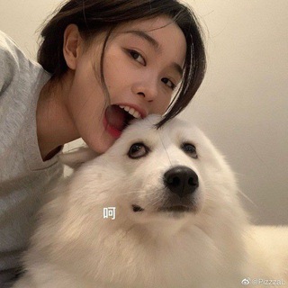 Telegram profile photo for ˹Sᴘᴏᴛɪғʏ ꭙ ᴍᴜꜱɪᴄ 🕊