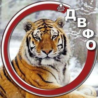 Telegram profile photo for Дальний Восток. Главное