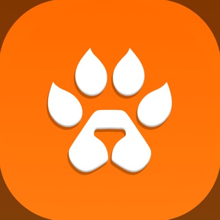 Telegram profile photo for MELLCOIN | СНГ КАНАЛ