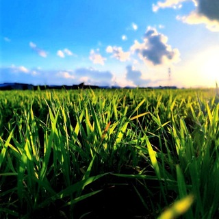 Telegram profile photo for بُسْتَانُ الصَّالِحِينْ🌱