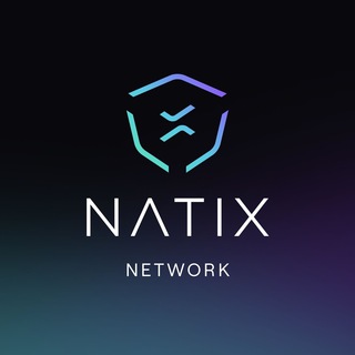Telegram profile photo for NATIX Network