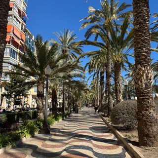 Telegram profile photo for АРЕНДА ИСПАНИЯ 🇪🇸 Аликанте | Торревьеха | Бенидорм