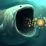 Telegram profile photo for Planet of the Whales