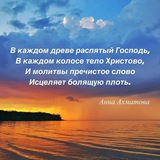 Telegram profile photo for Православие