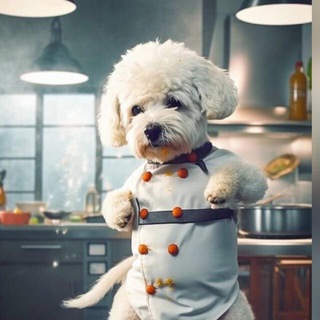 Telegram profile photo for DA集团-菲律宾/迪拜/泰国/斯里兰卡