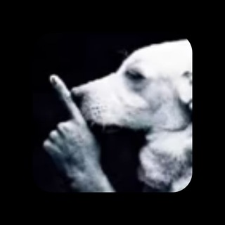 Telegram profile photo for LDMN