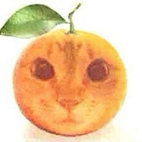 Telegram profile photo for ☕️Domik:))🍊🍊
