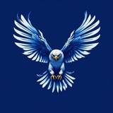 Telegram profile photo for Илья Сергеевич