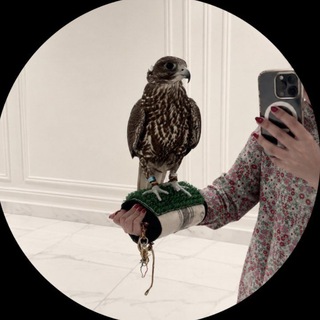 Telegram profile photo for ᷂وَدق🪶.
