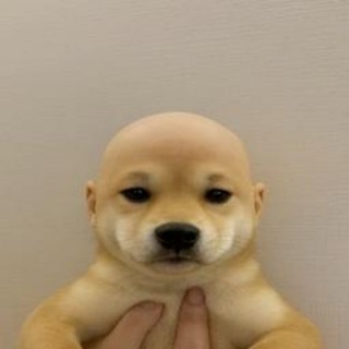 Telegram profile photo for Хаслим деньги🤙(нет)