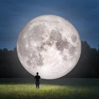 Telegram group profile photo for Взаимный пиар чат | Реклама чат