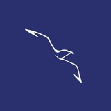 Telegram profile photo for Теплоход "Чайка СПГ" Санкт-Петербург