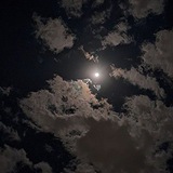Telegram profile photo for رباعي للبيع 3