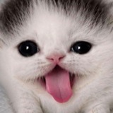 Telegram profile photo for Gagaiq