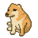 Telegram profile photo for CashDog - Portal