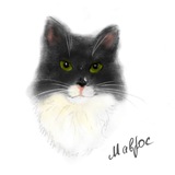 Telegram profile photo for Маврос
