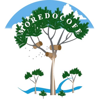 Telegram profile photo for Moredocofe S.C