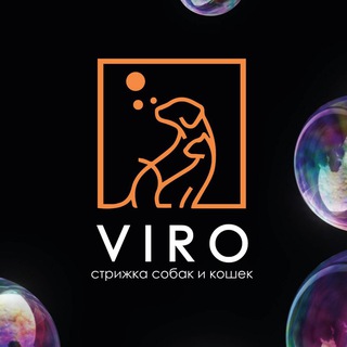 Telegram profile photo for Студия стрижки кошек и собак “VIRO”