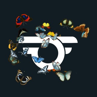 Telegram profile photo for OMIDᵃʳᵗʷᵒʳᵏ