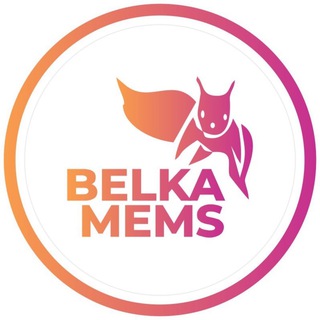 Telegram profile photo for Belka Memes