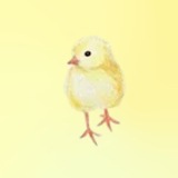 Telegram profile photo for инфо би долл